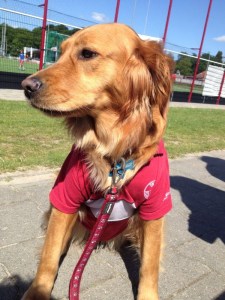 Harriet the Field Hockey Mascot  in her uniform